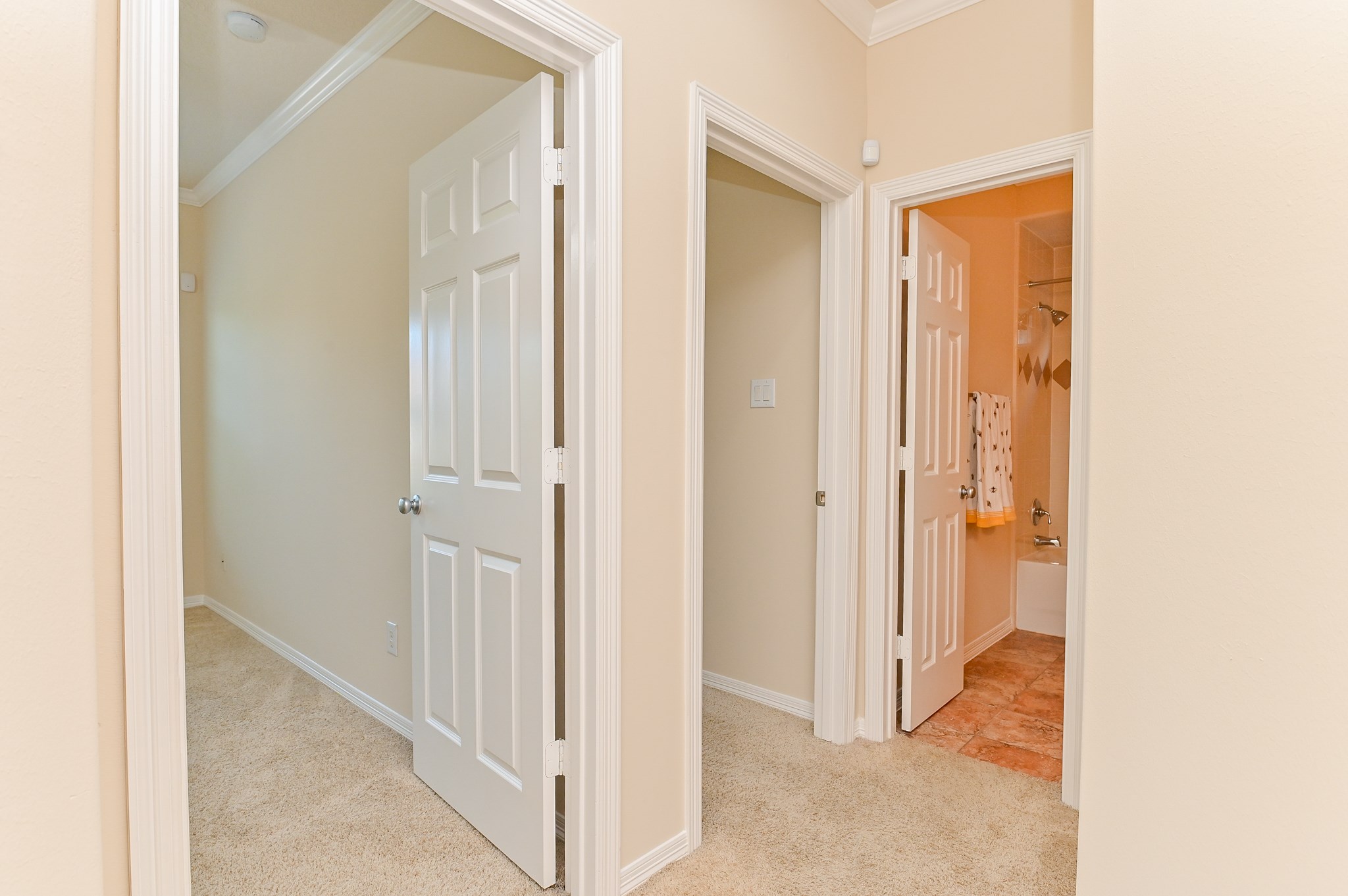 1126 Sopris Drive Property Photo 15