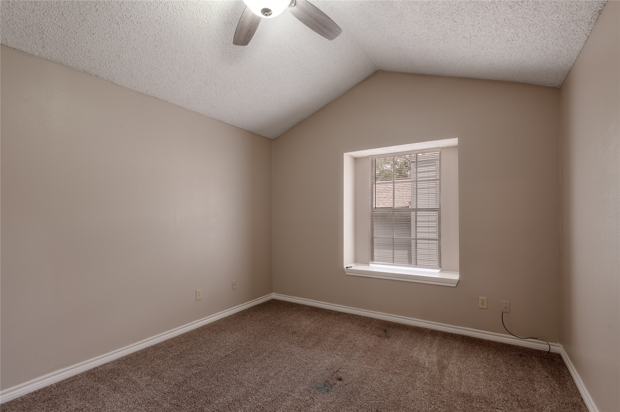 1228 Avenue O H Property Photo 18