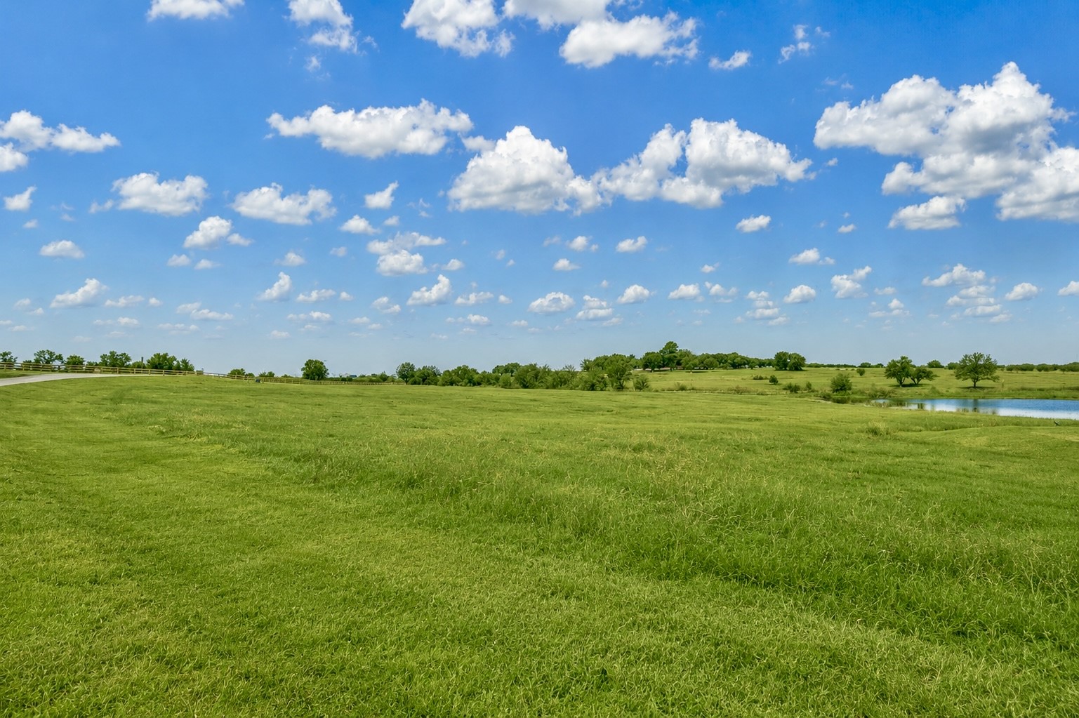 1549 Bluebonnet Ridge Drive Property Photo 2