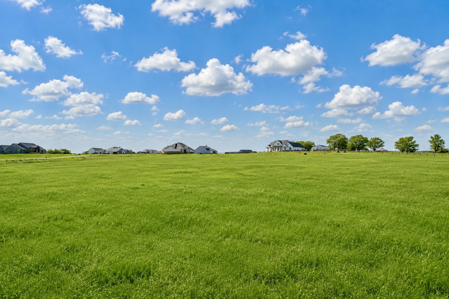 1549 Bluebonnet Ridge Drive Property Photo 4