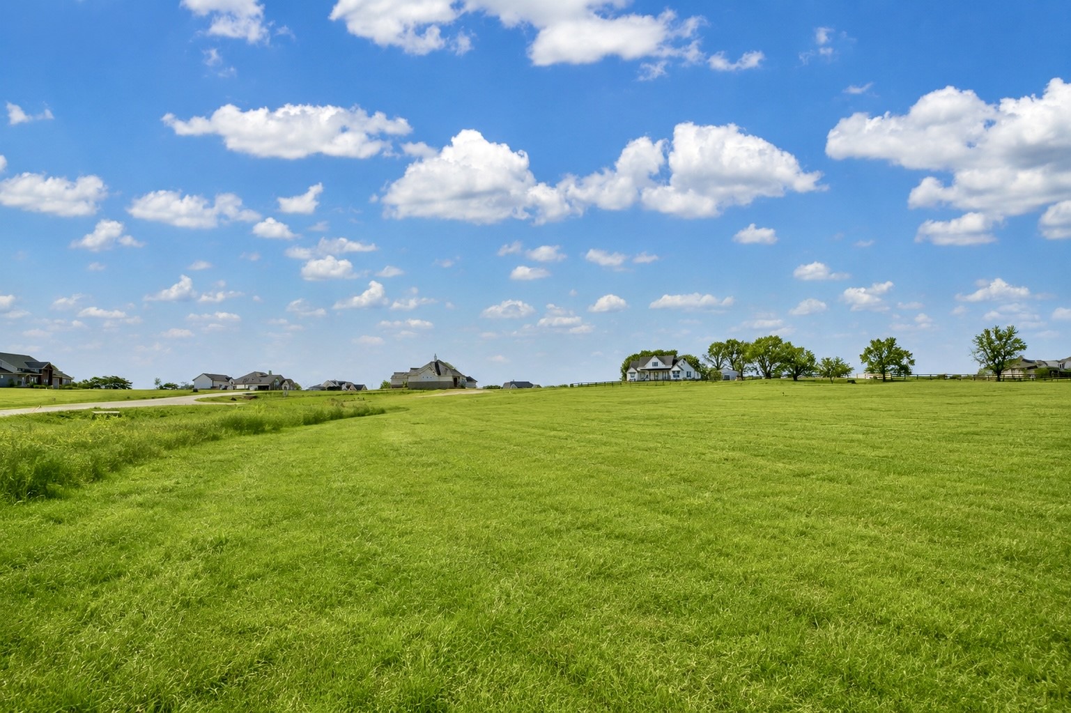 1549 Bluebonnet Ridge Drive Property Photo 5