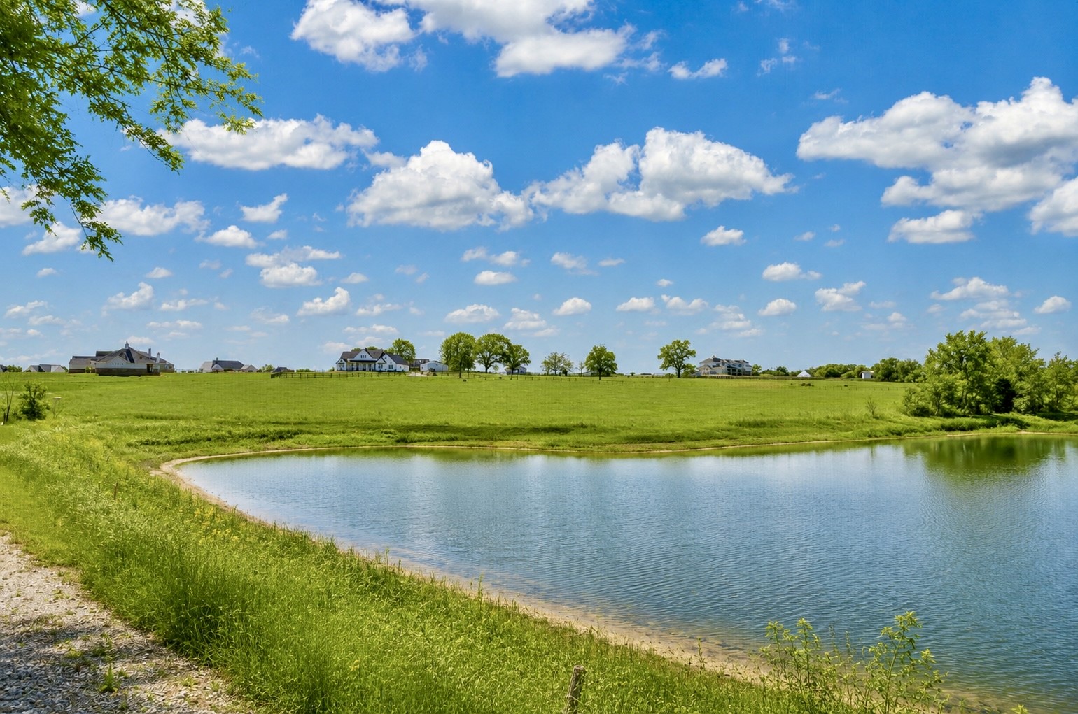 1549 Bluebonnet Ridge Drive Property Photo 6