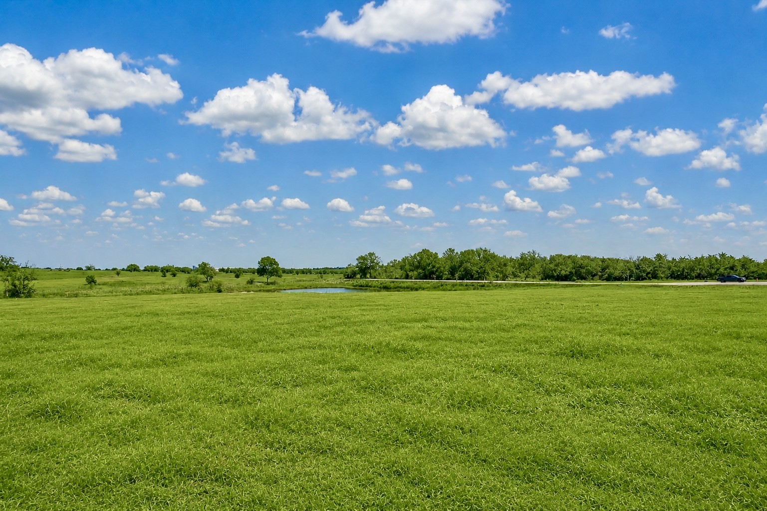 1549 Bluebonnet Ridge Drive Property Photo 7