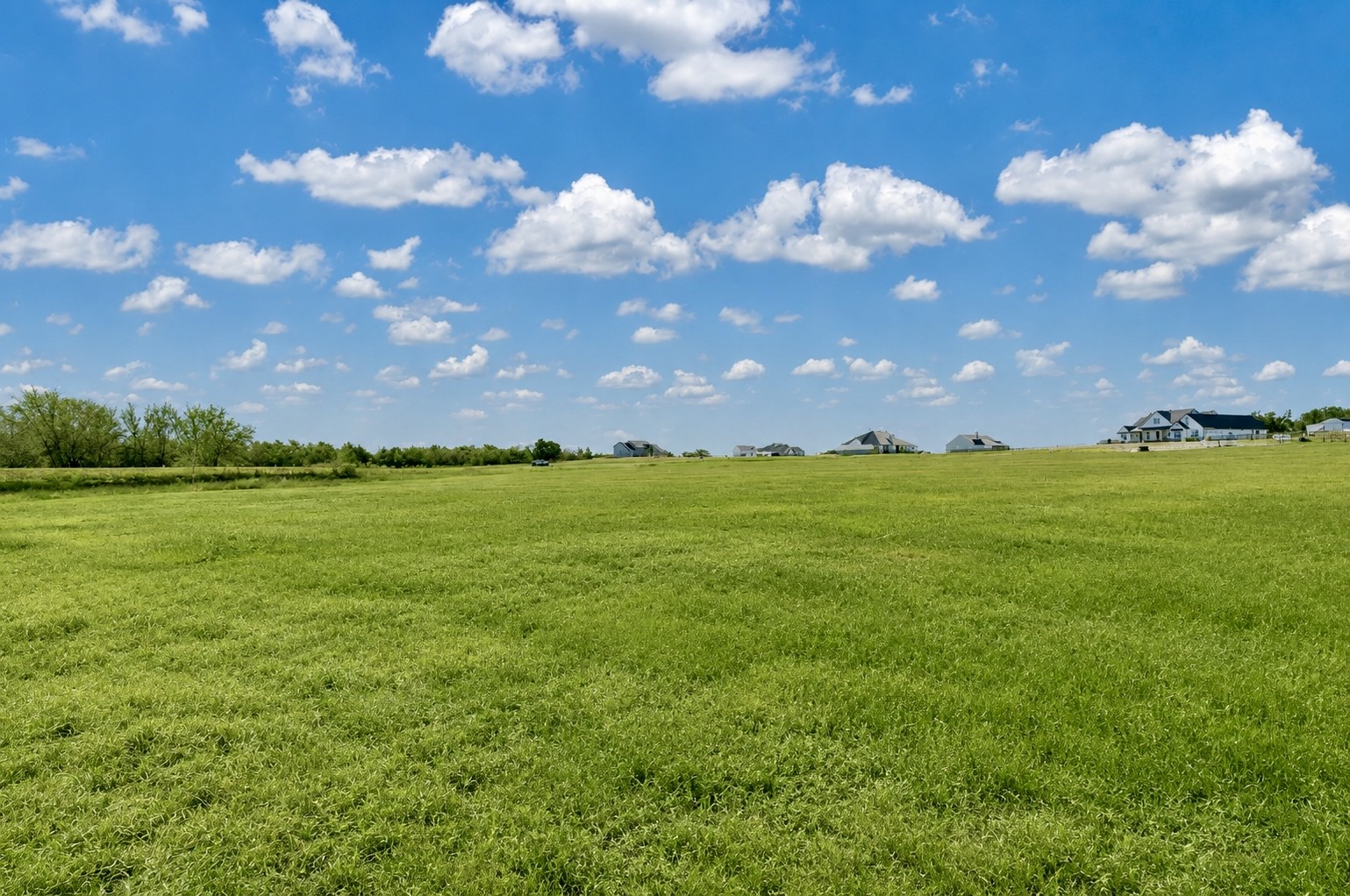 1549 Bluebonnet Ridge Drive Property Photo 8
