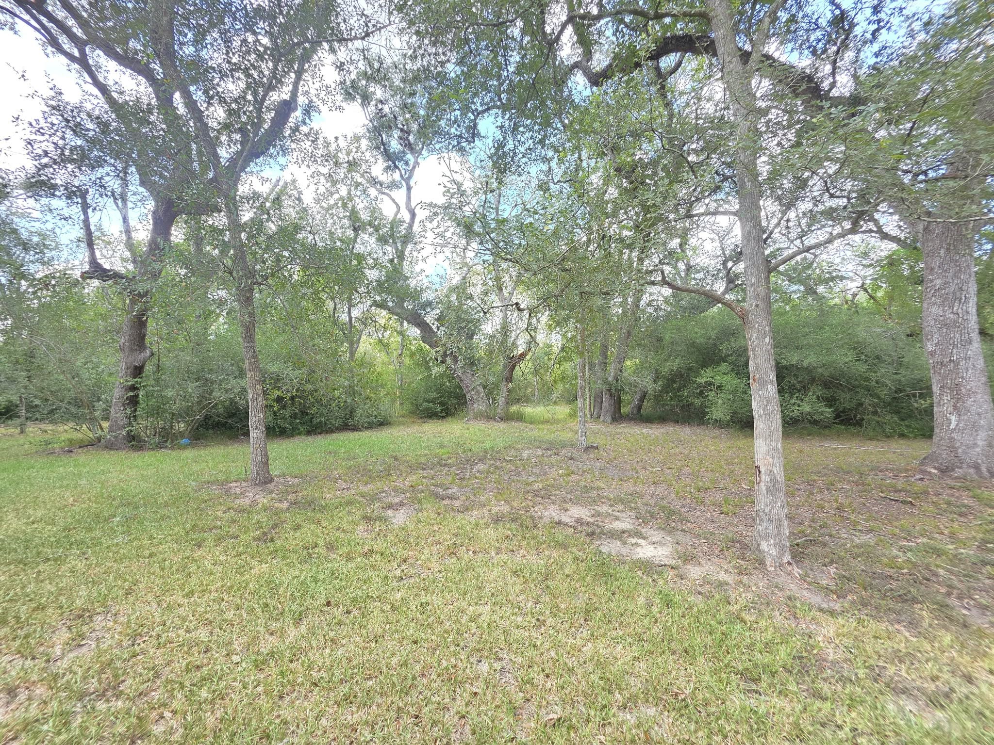 163 Byrd Salyer Road Property Photo 26
