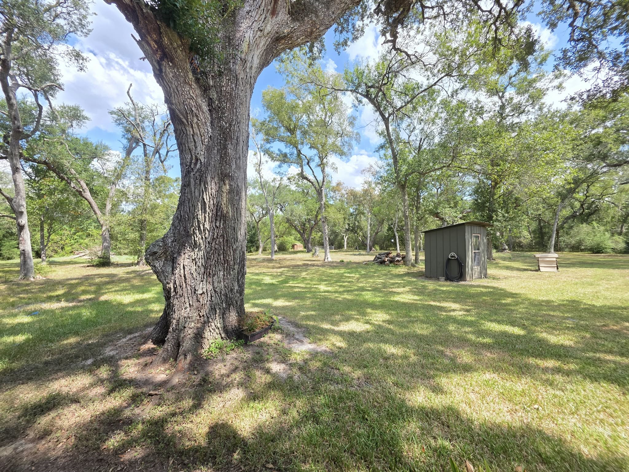 163 Byrd Salyer Road Property Photo 27