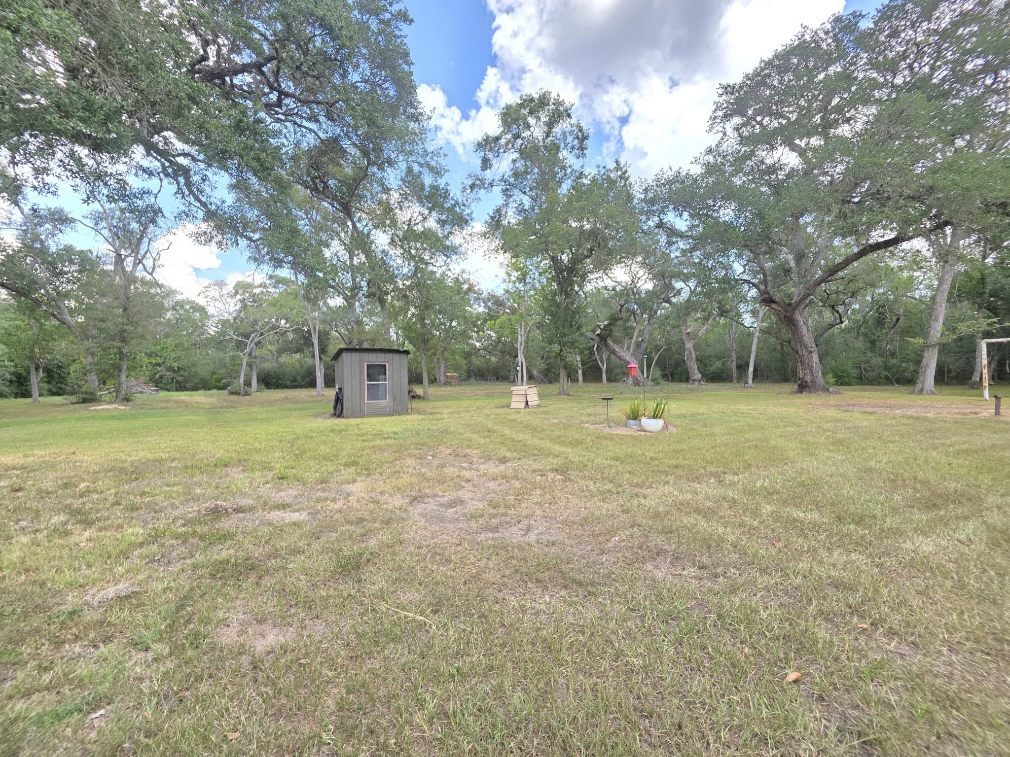 163 Byrd Salyer Road Property Photo 29