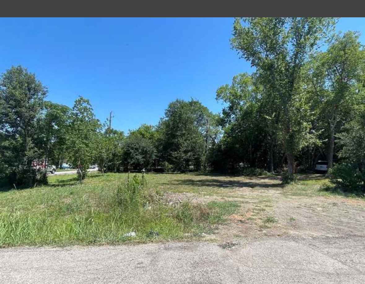 10133 Dobie Street Property Photo 1