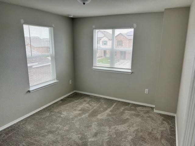 6420 Carriage Pines Drive Property Photo 9