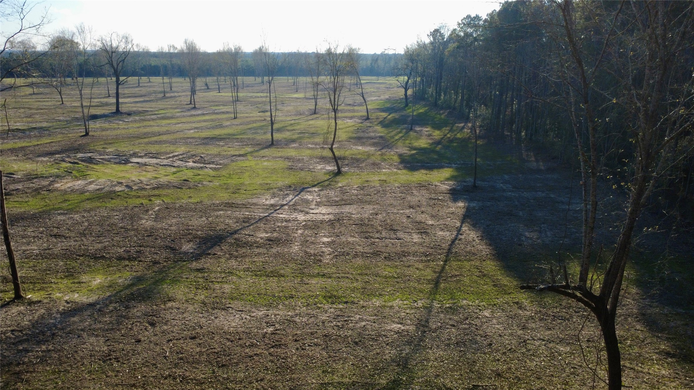 Tracts 1-5 County Road 4700 Property Photo 15