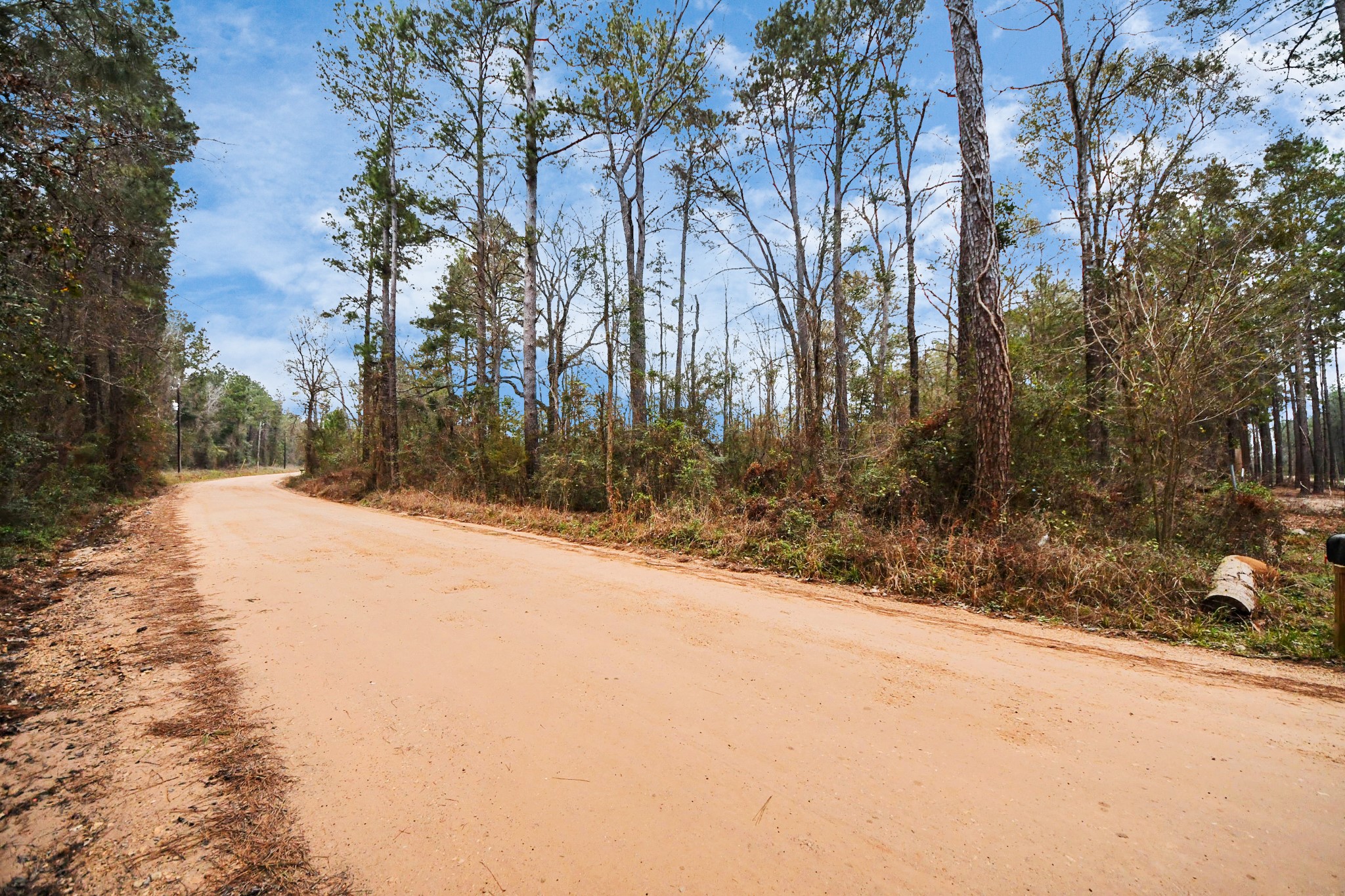 12+ Acres County Line Road Property Photo