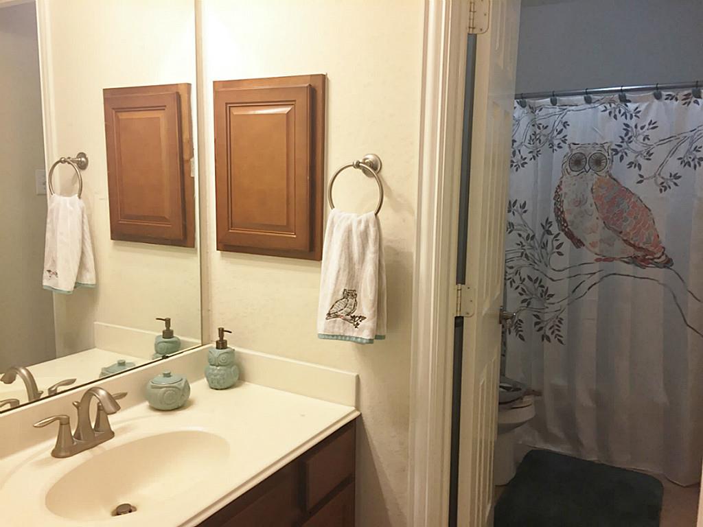 20914 Bright Lake Bend Court Property Photo 22