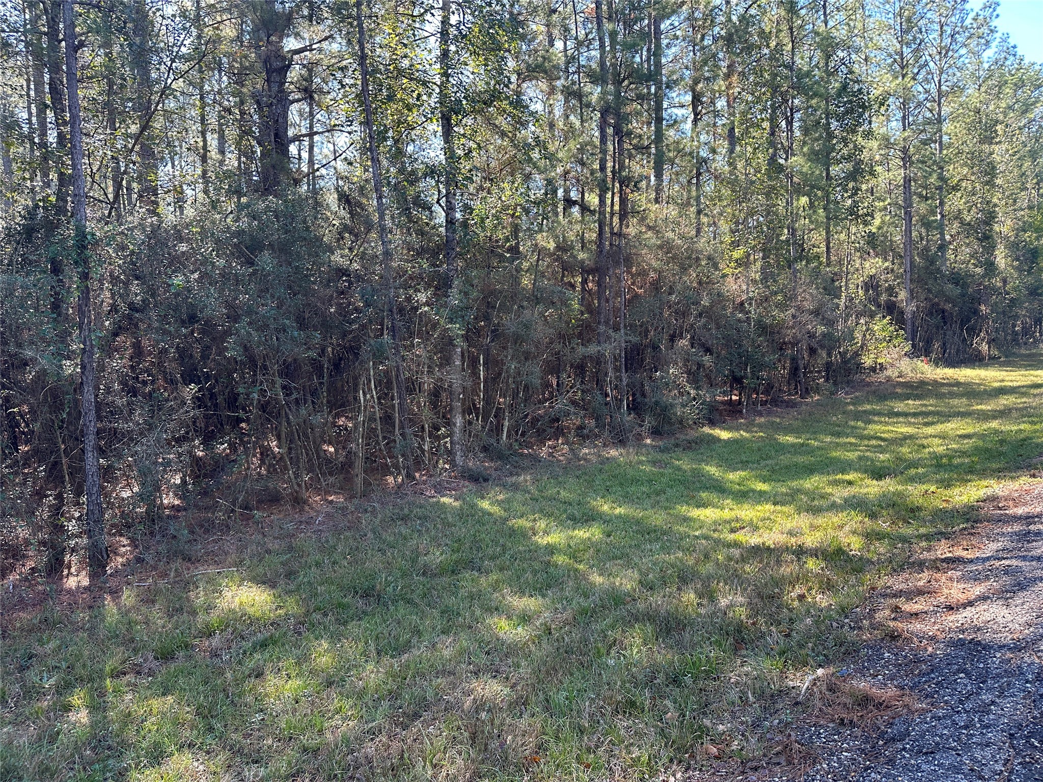 Tbd Fm-942 E Property Photo 2