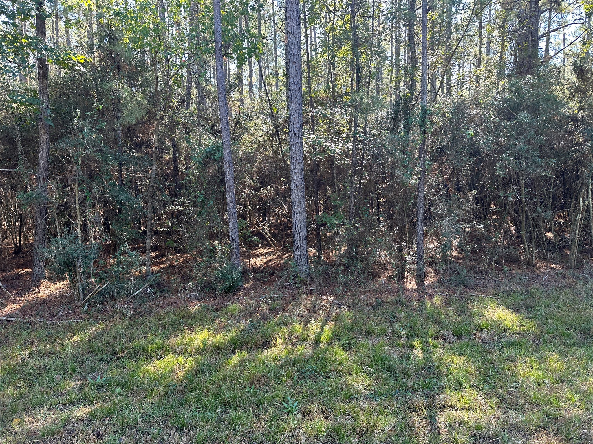 Tbd Fm-942 E Property Photo 3