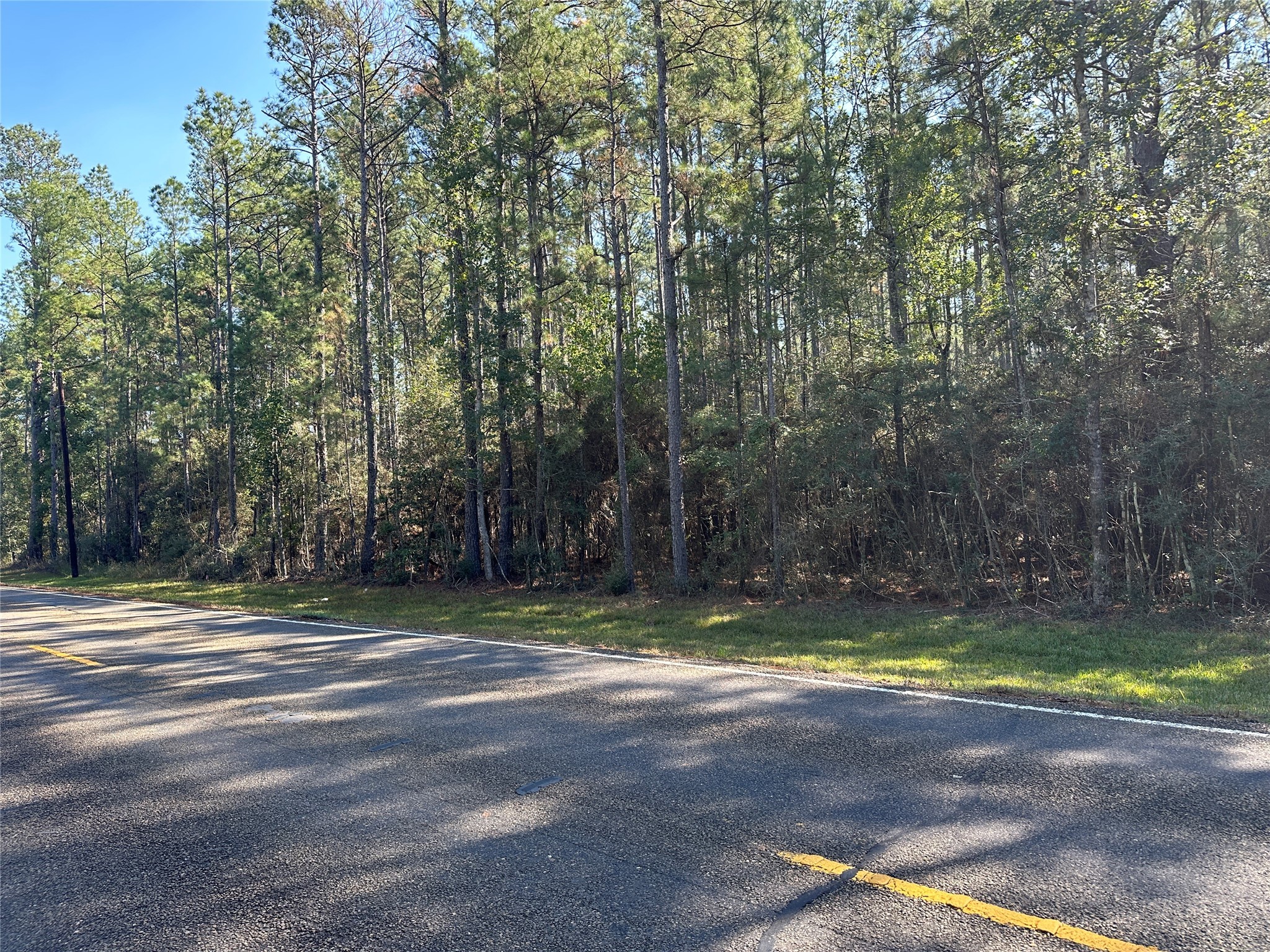Tbd Fm-942 E Property Photo 6