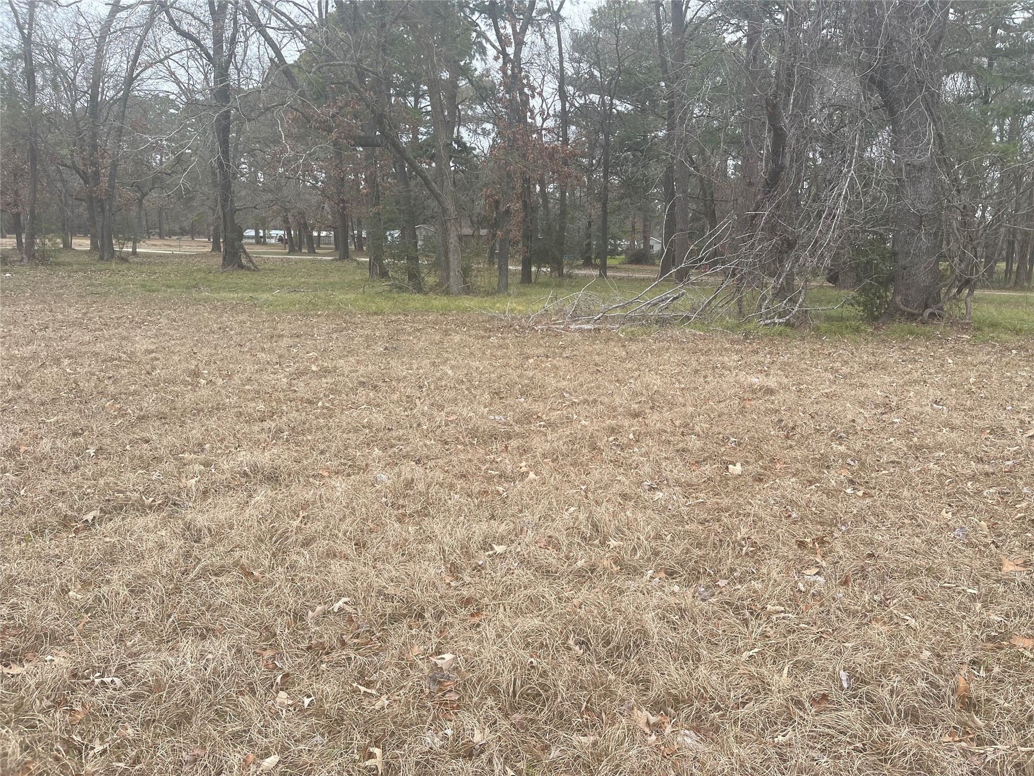 169 San Soucie Way Property Photo 4