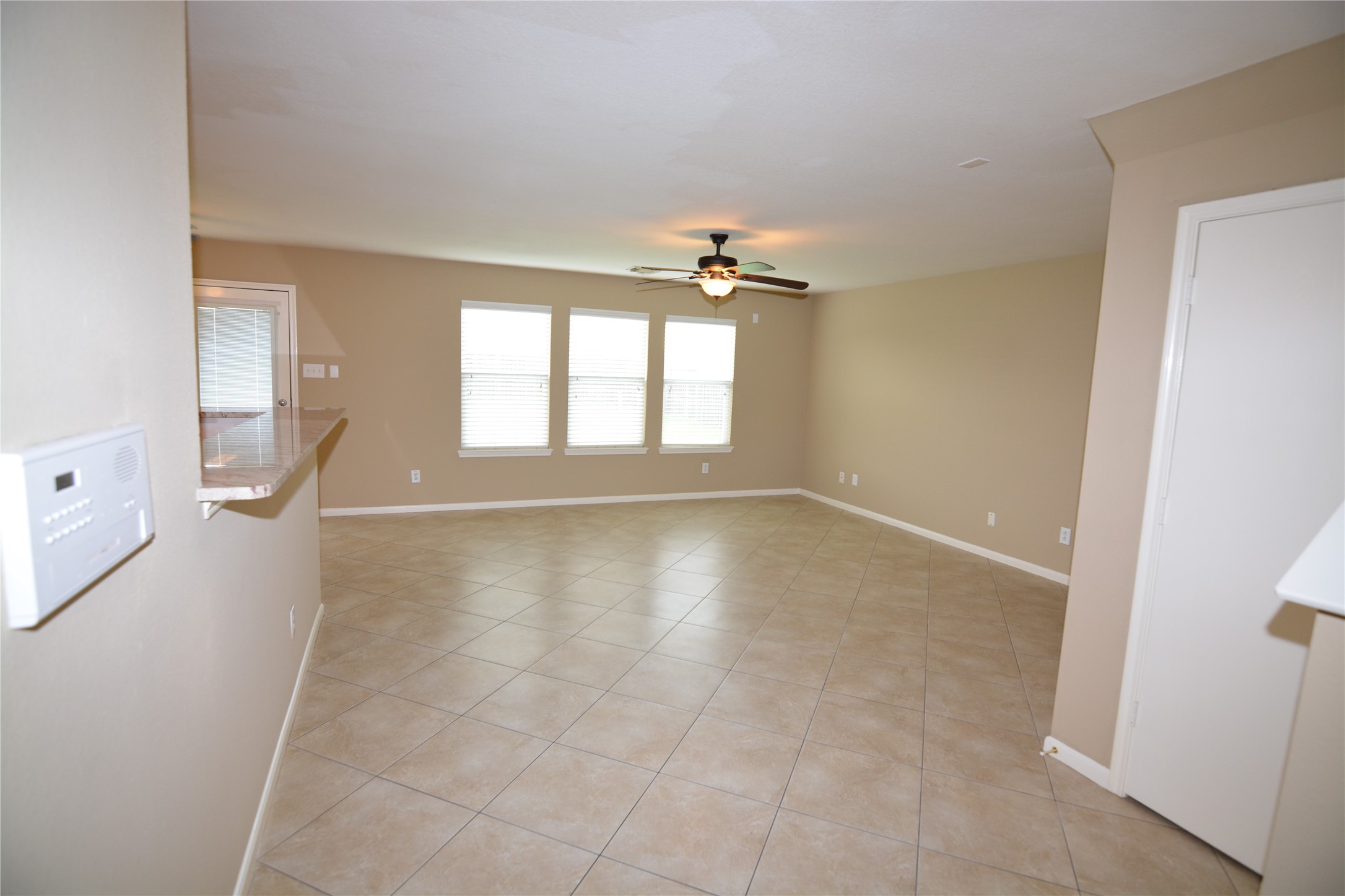 3903 Brighton Springs Lane Property Photo 5