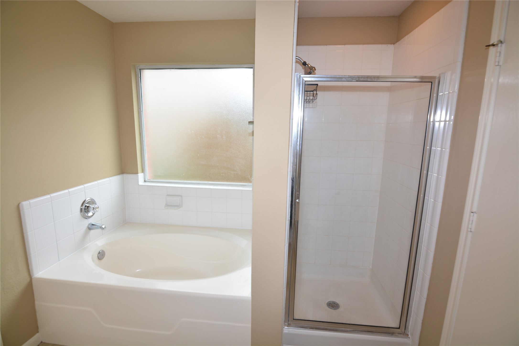 3903 Brighton Springs Lane Property Photo 15