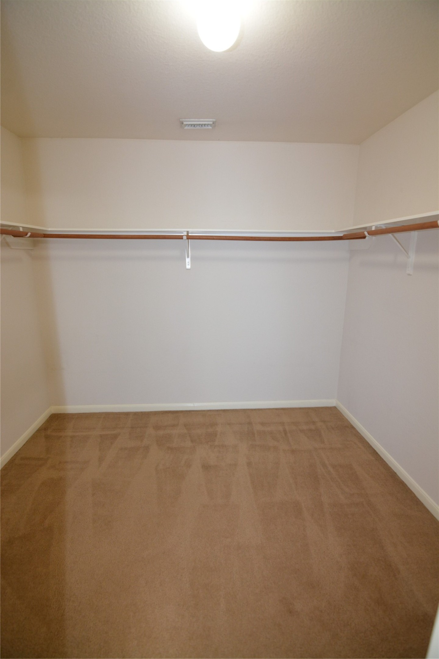 3903 Brighton Springs Lane Property Photo 16