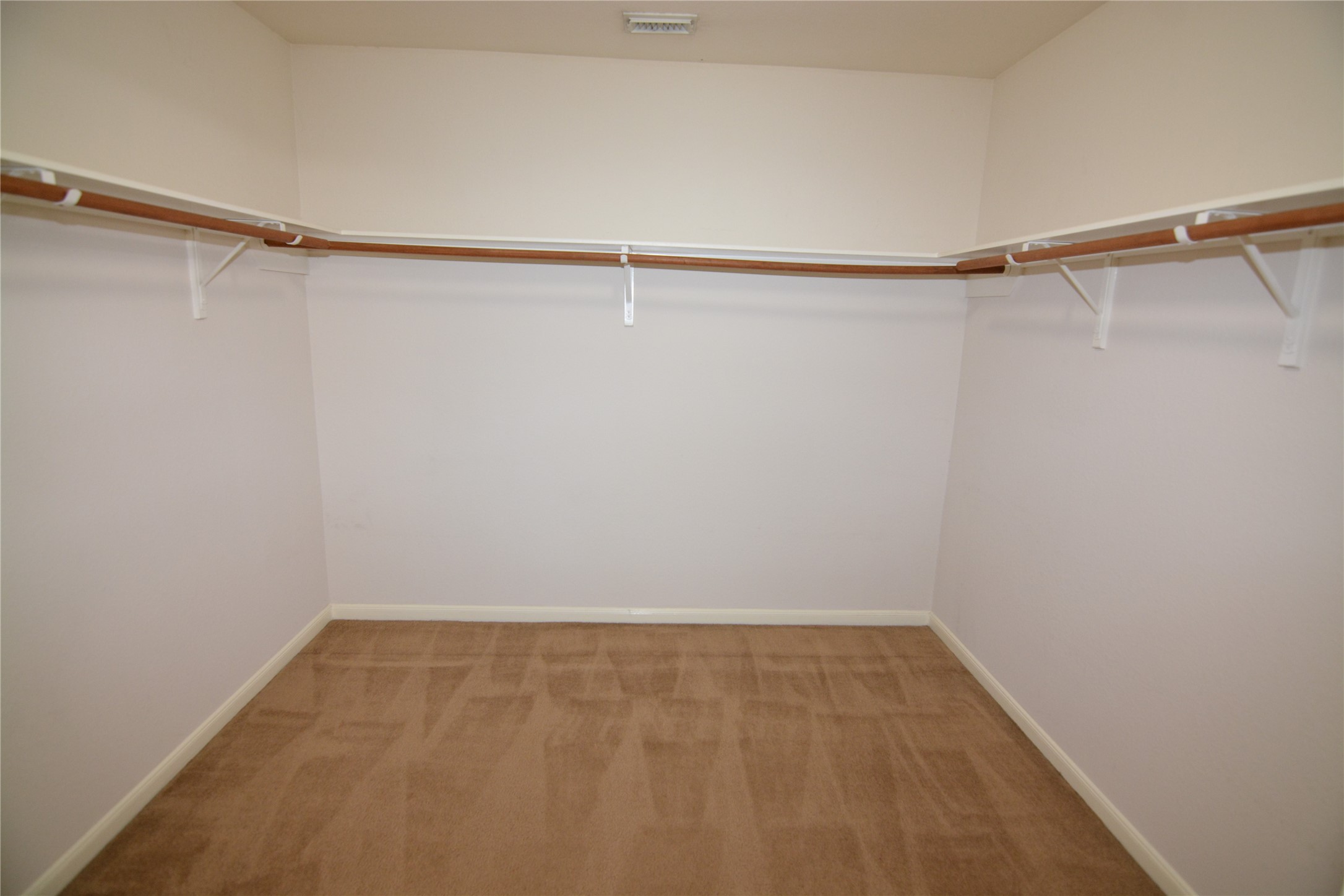 3903 Brighton Springs Lane Property Photo 17