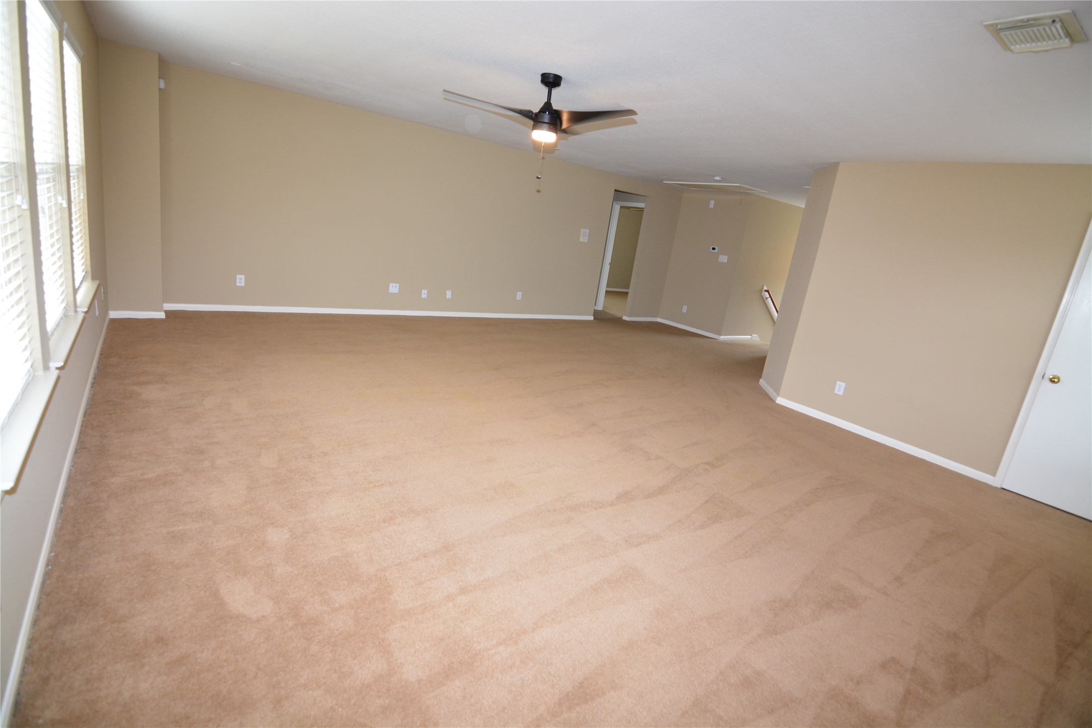 3903 Brighton Springs Lane Property Photo 25