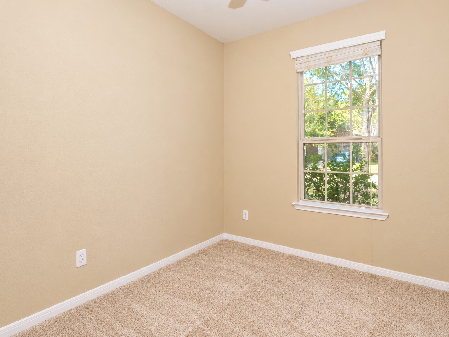 6410 Burgess Heights Lane Property Photo 14