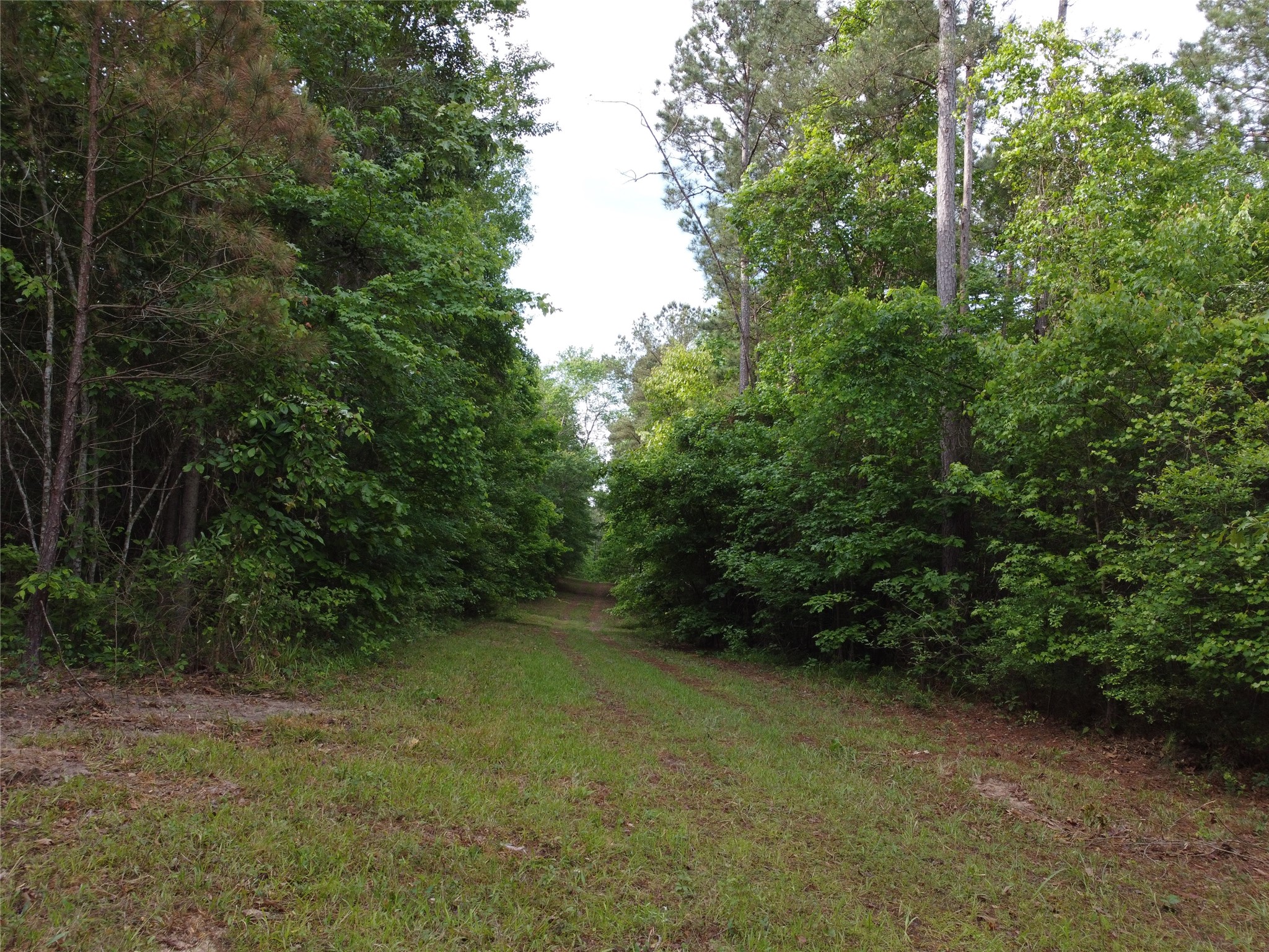 0 State Hwy 154 Property Photo 6