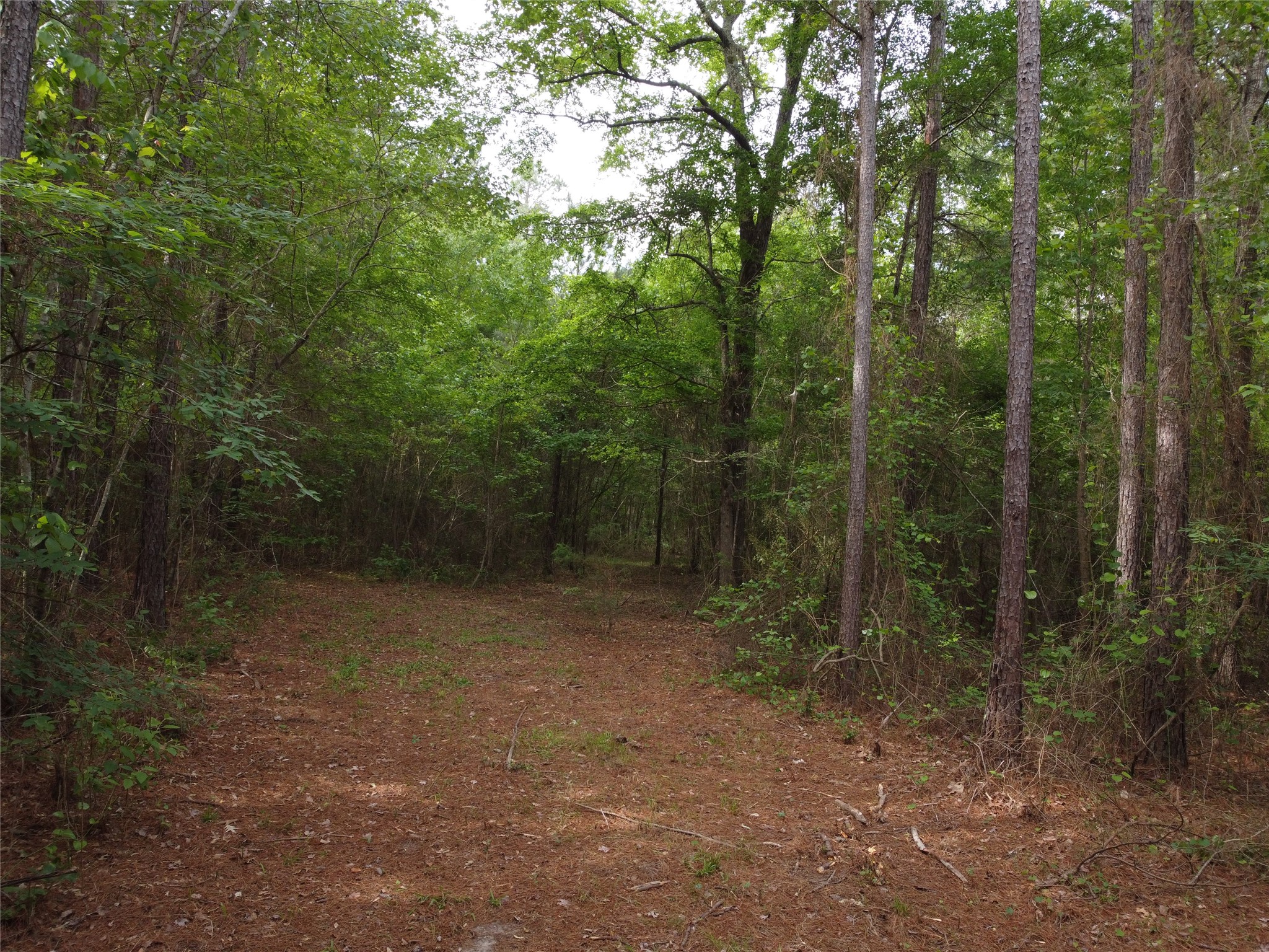 0 State Hwy 154 Property Photo 10