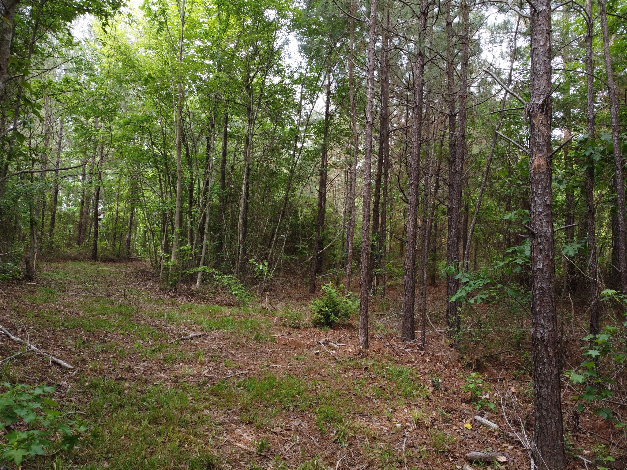 0 State Hwy 154 Property Photo 13