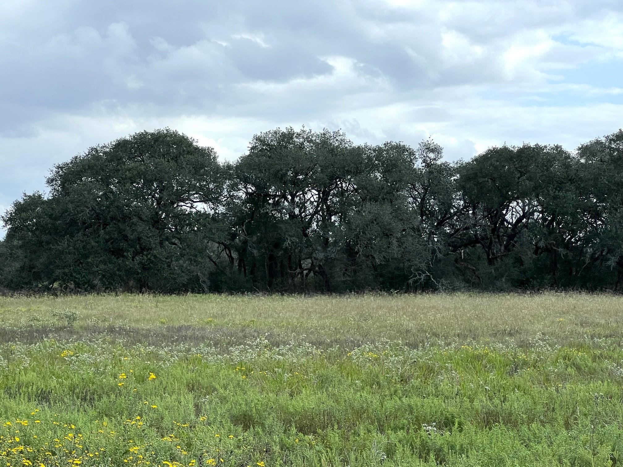 Tr 4 (11.45 Acs) Dancing Deer, Altair Tx 77412 Property Photo 1