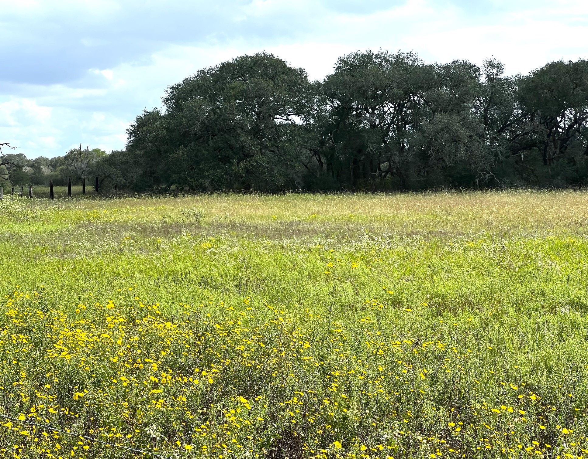 Tr 4 (11.45 Acs) Dancing Deer Property Photo 2