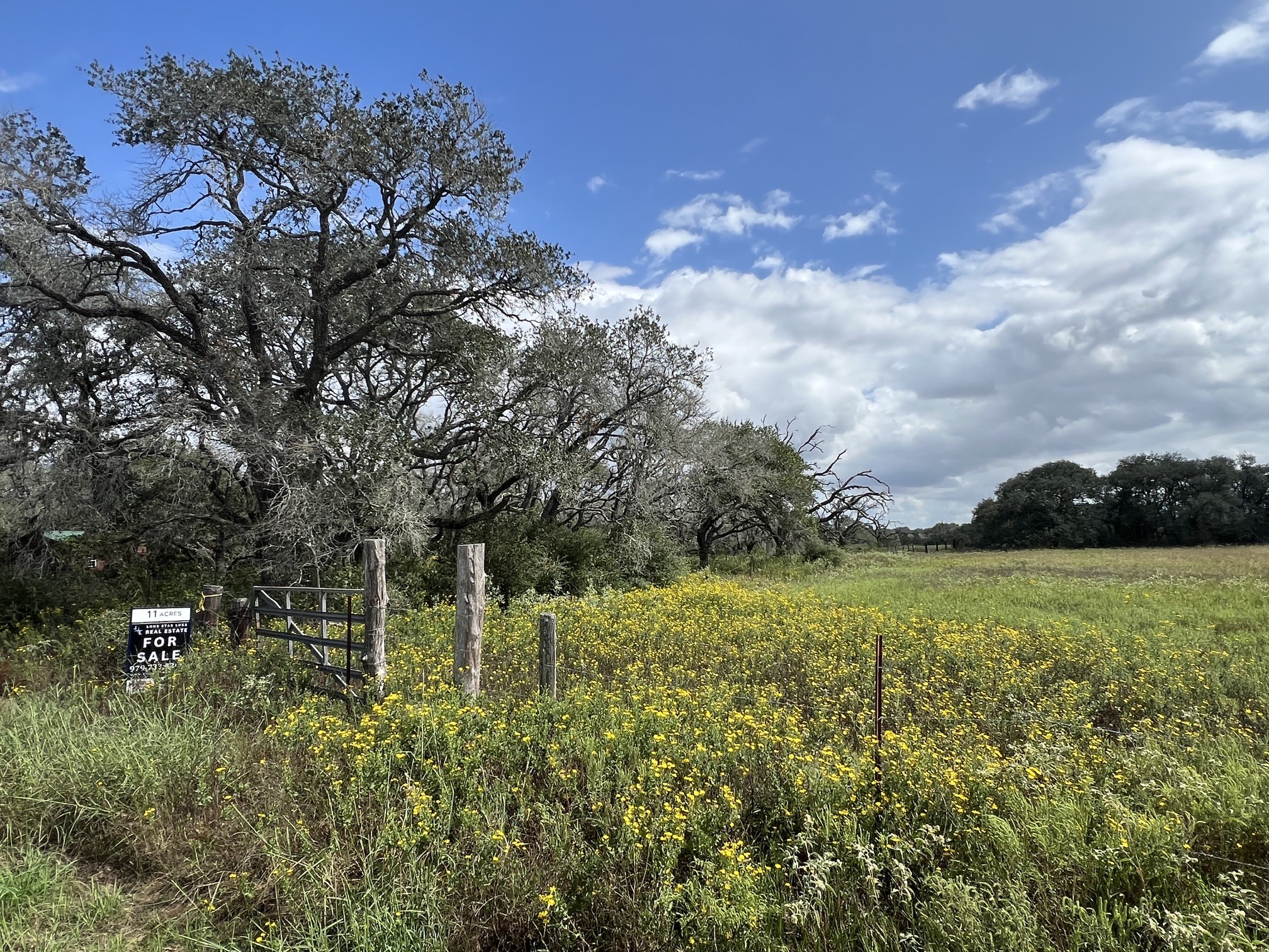Tr 4 (11.45 Acs) Dancing Deer Property Photo 4