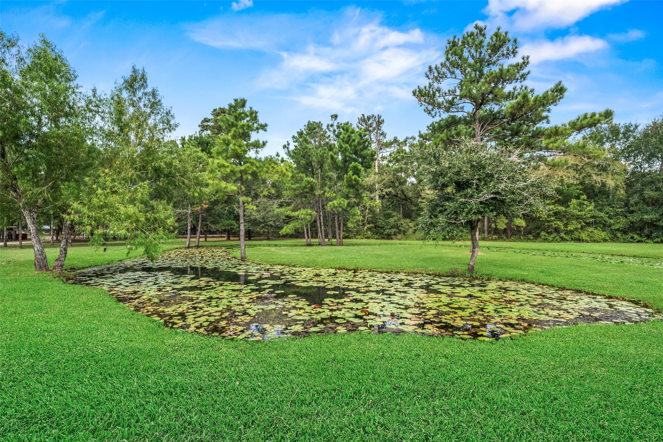 32660 Willow Bend Road Property Photo 48