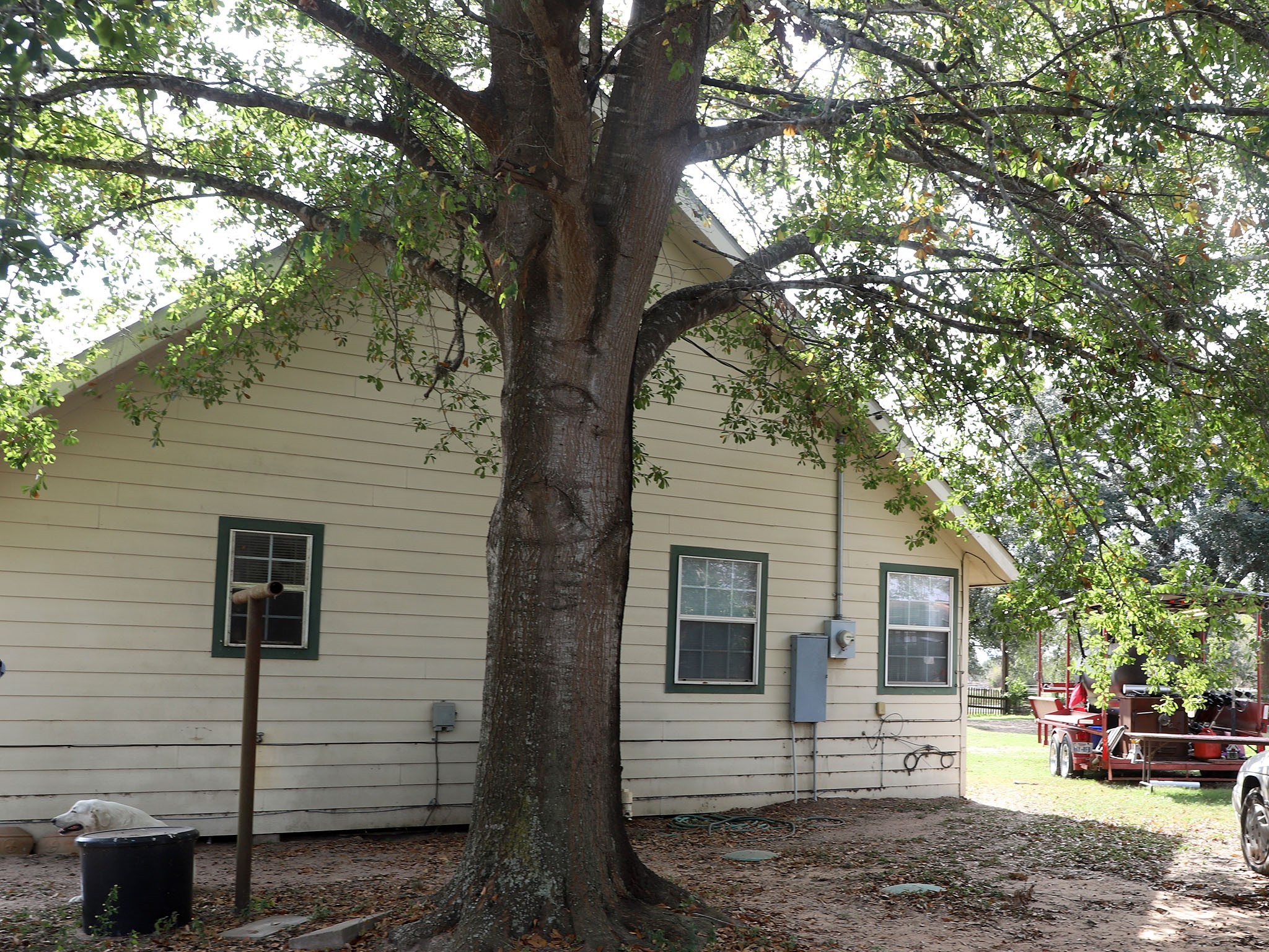 10844 Highway 159 E Property Photo 11