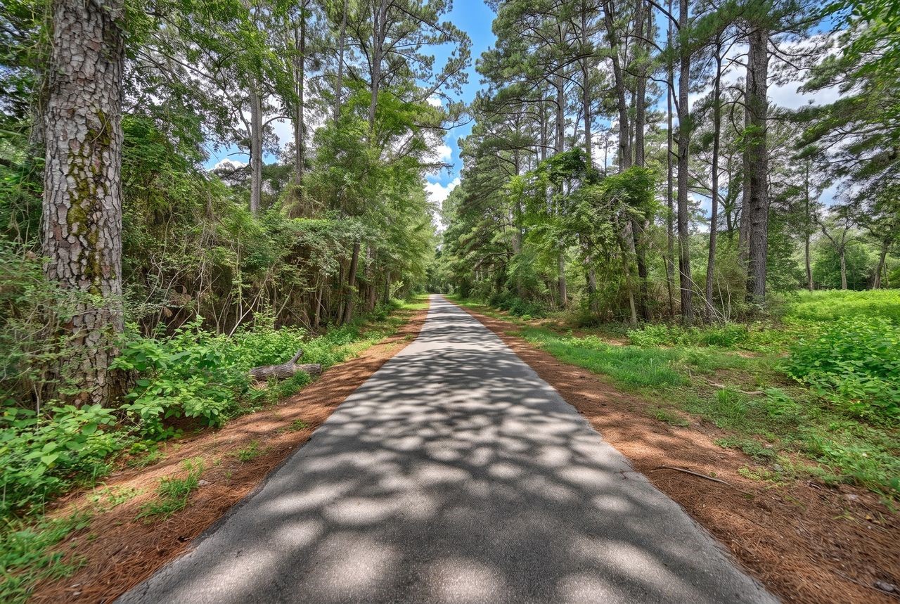 Lot One, 3340 County Road 325 Property Photo 1