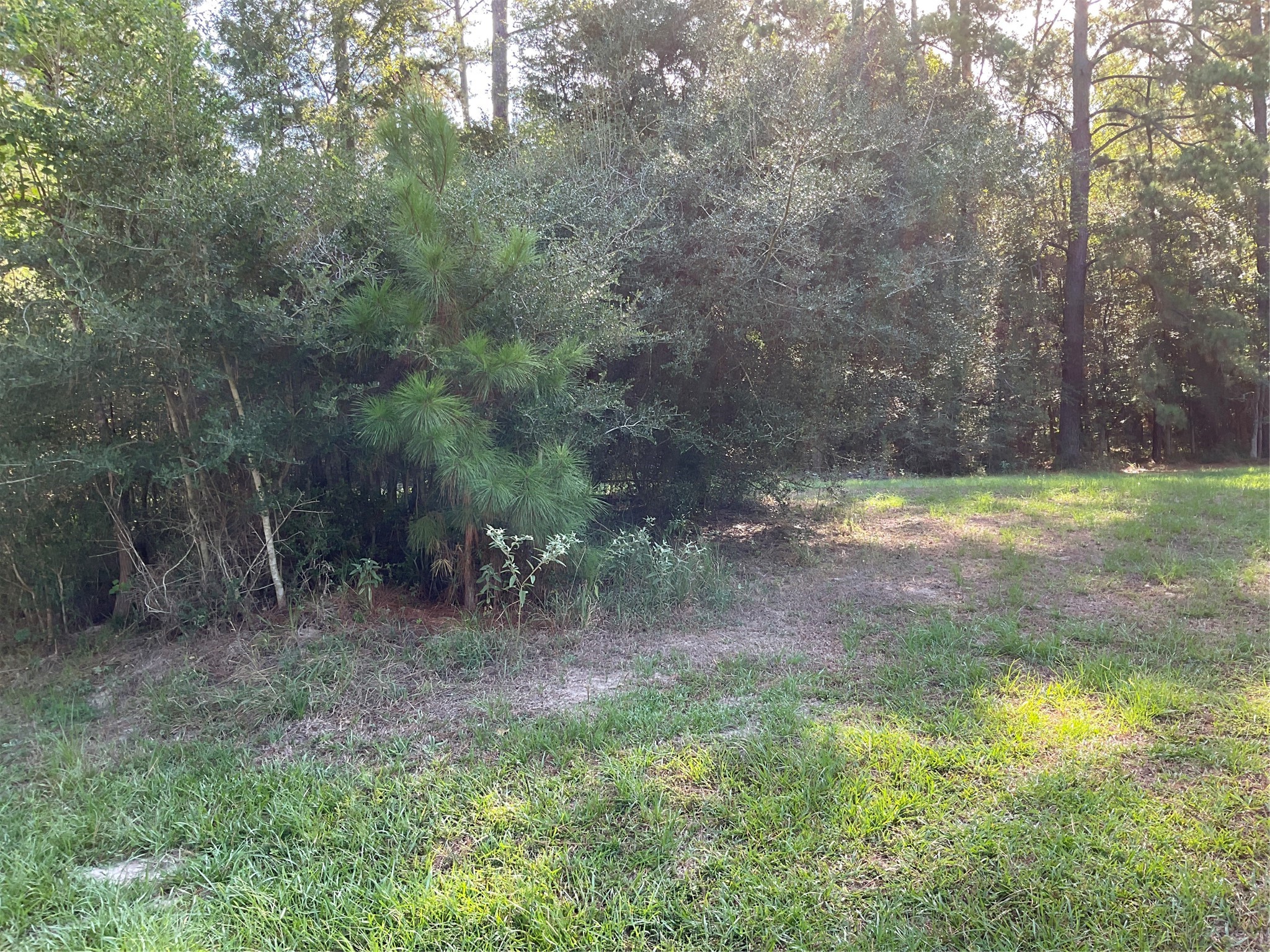 13 Cedar Springs Property Photo 7