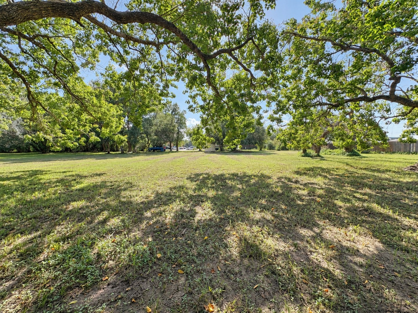 4409 Hiram Brandon Drive Property Photo 2