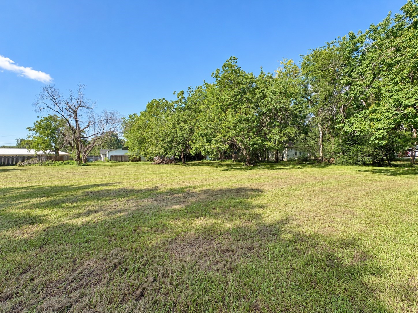 4409 Hiram Brandon Drive Property Photo 6