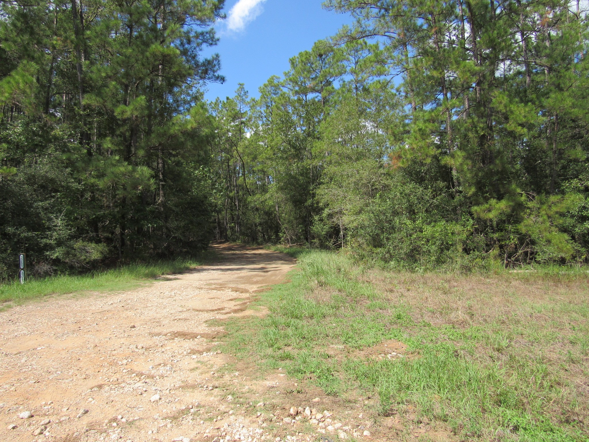 2223 Crysel Road Property Photo 2