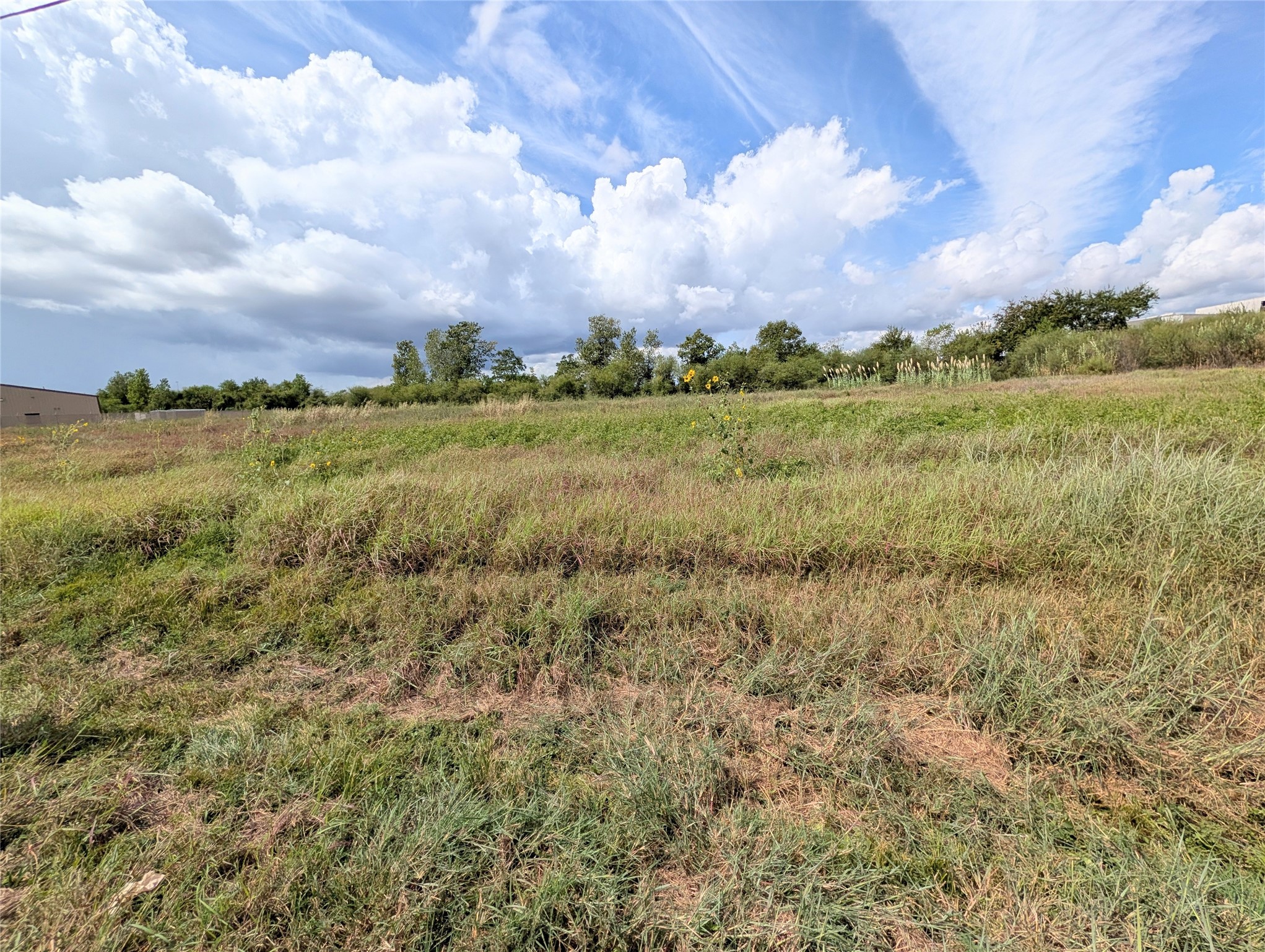 000 Walsh Road Property Photo 3