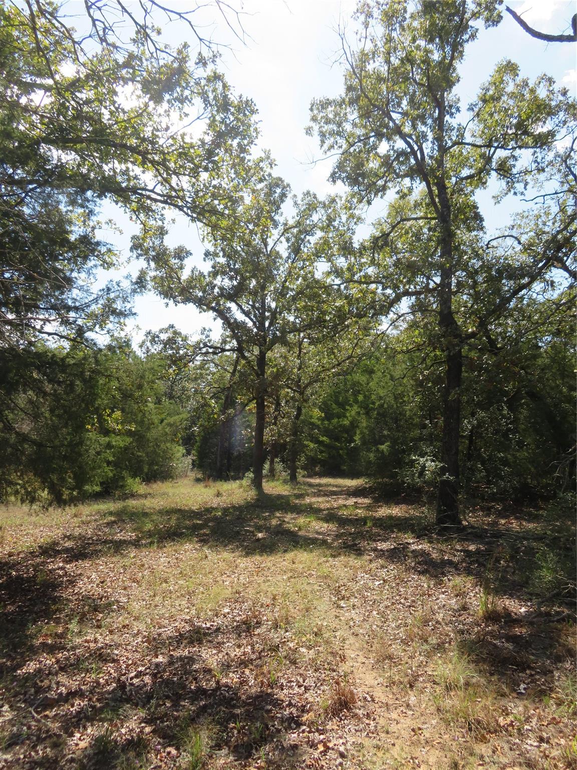 Tbd Fcr 257 Property Photo 3