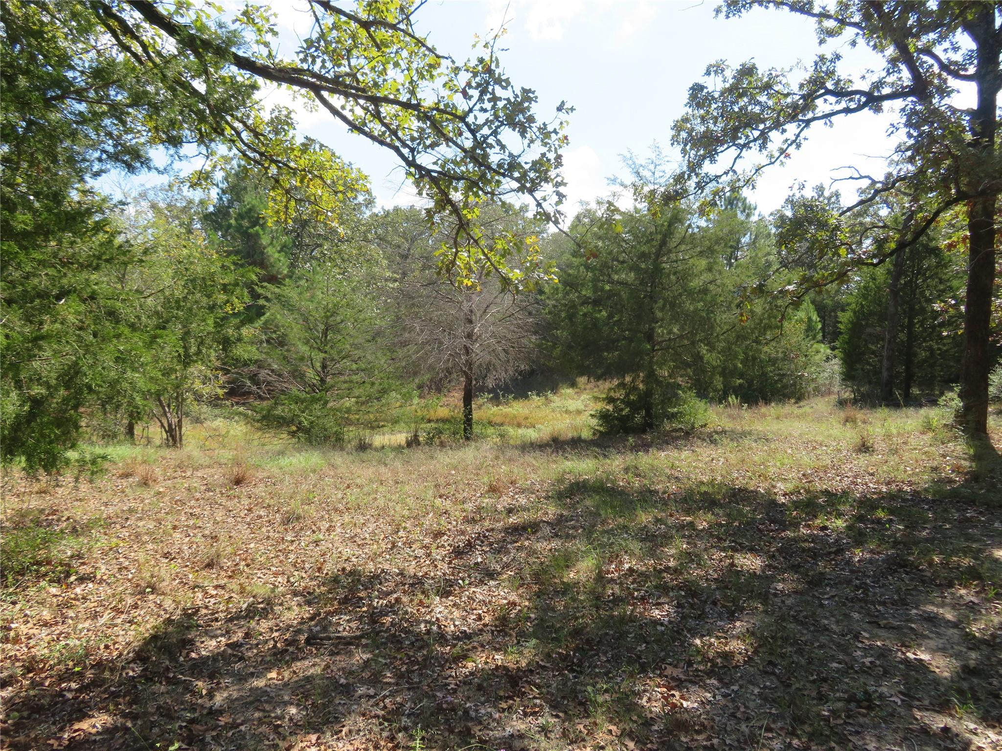 Tbd Fcr 257 Property Photo 4