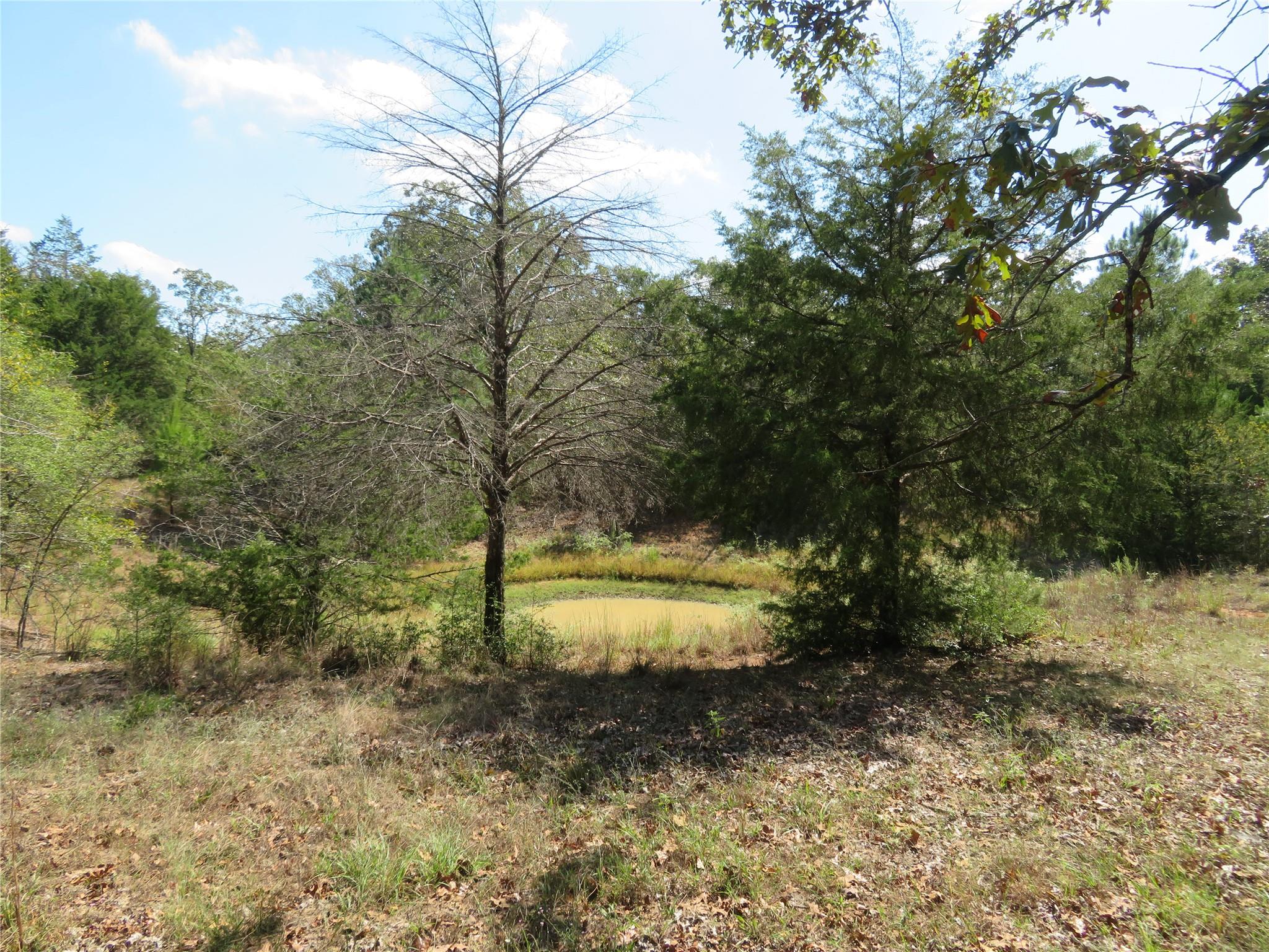 Tbd Fcr 257 Property Photo 5