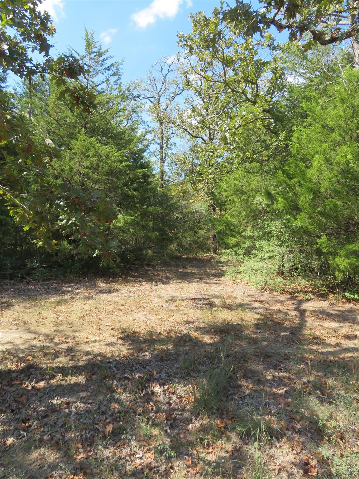 Tbd Fcr 257 Property Photo 6