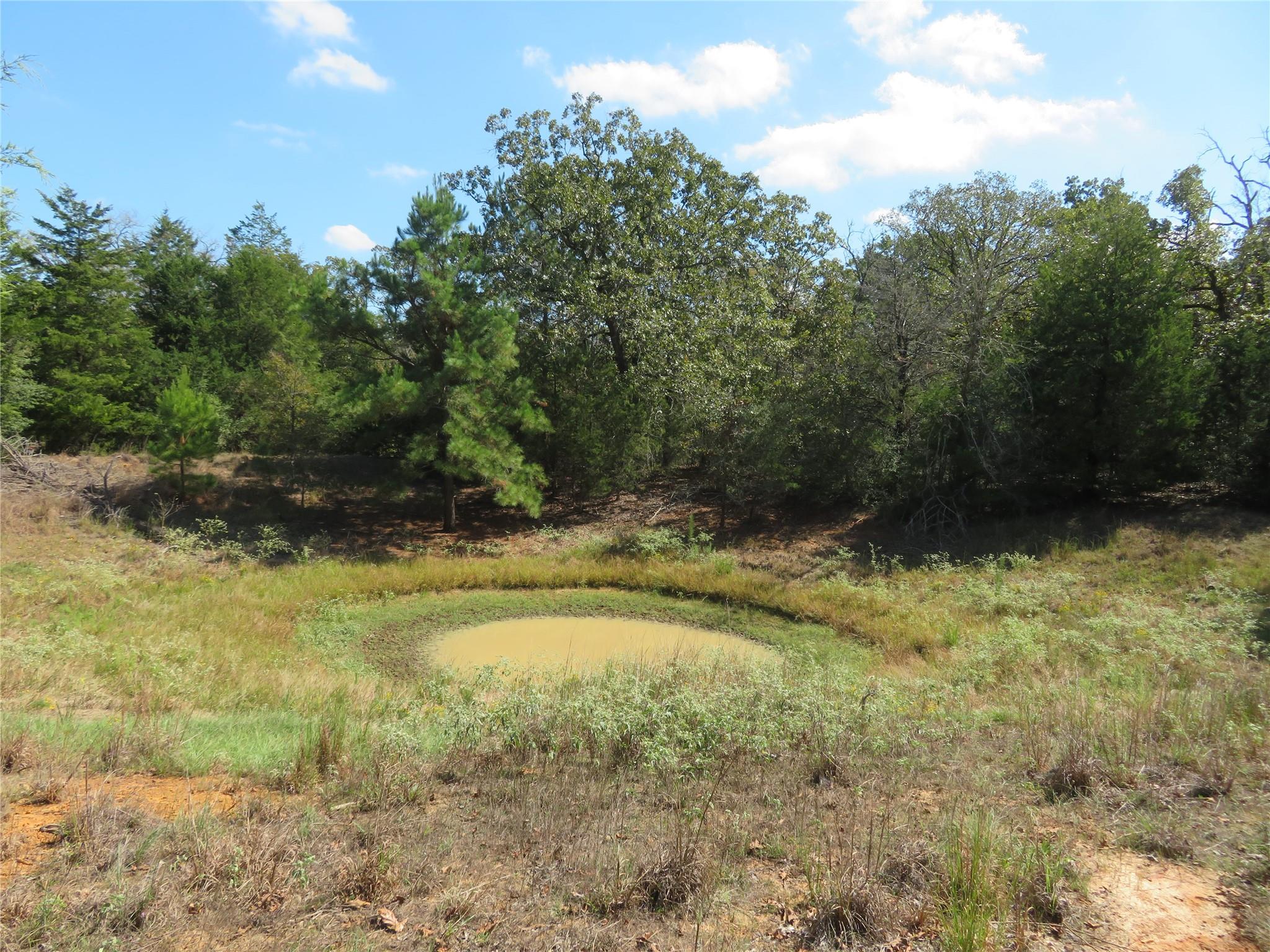 Tbd Fcr 257 Property Photo 7