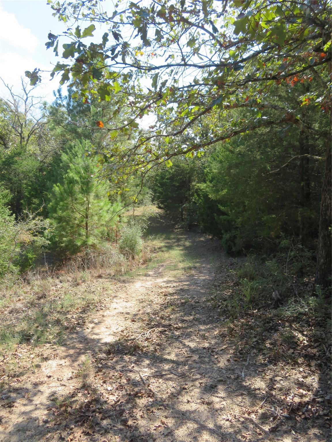 Tbd Fcr 257 Property Photo 10
