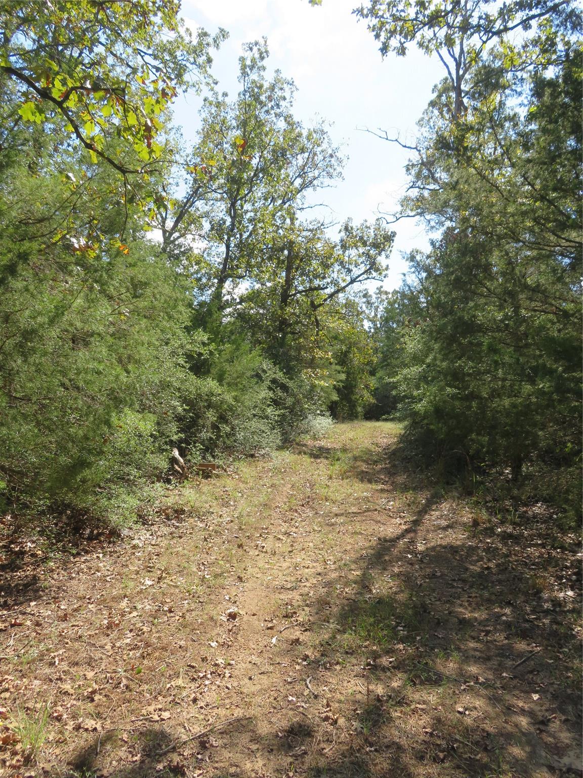 Tbd Fcr 257 Property Photo 12