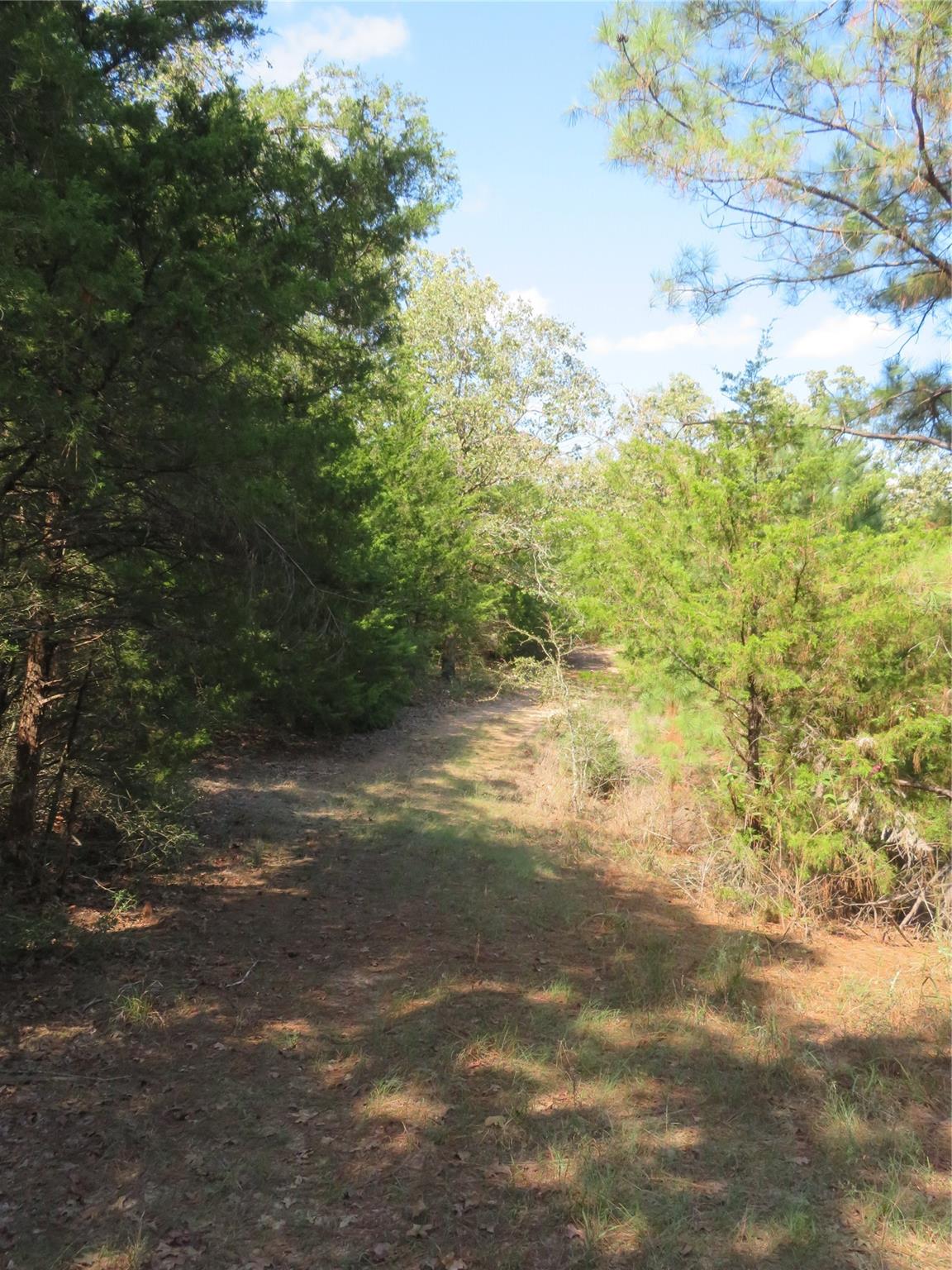 Tbd Fcr 257 Property Photo 13