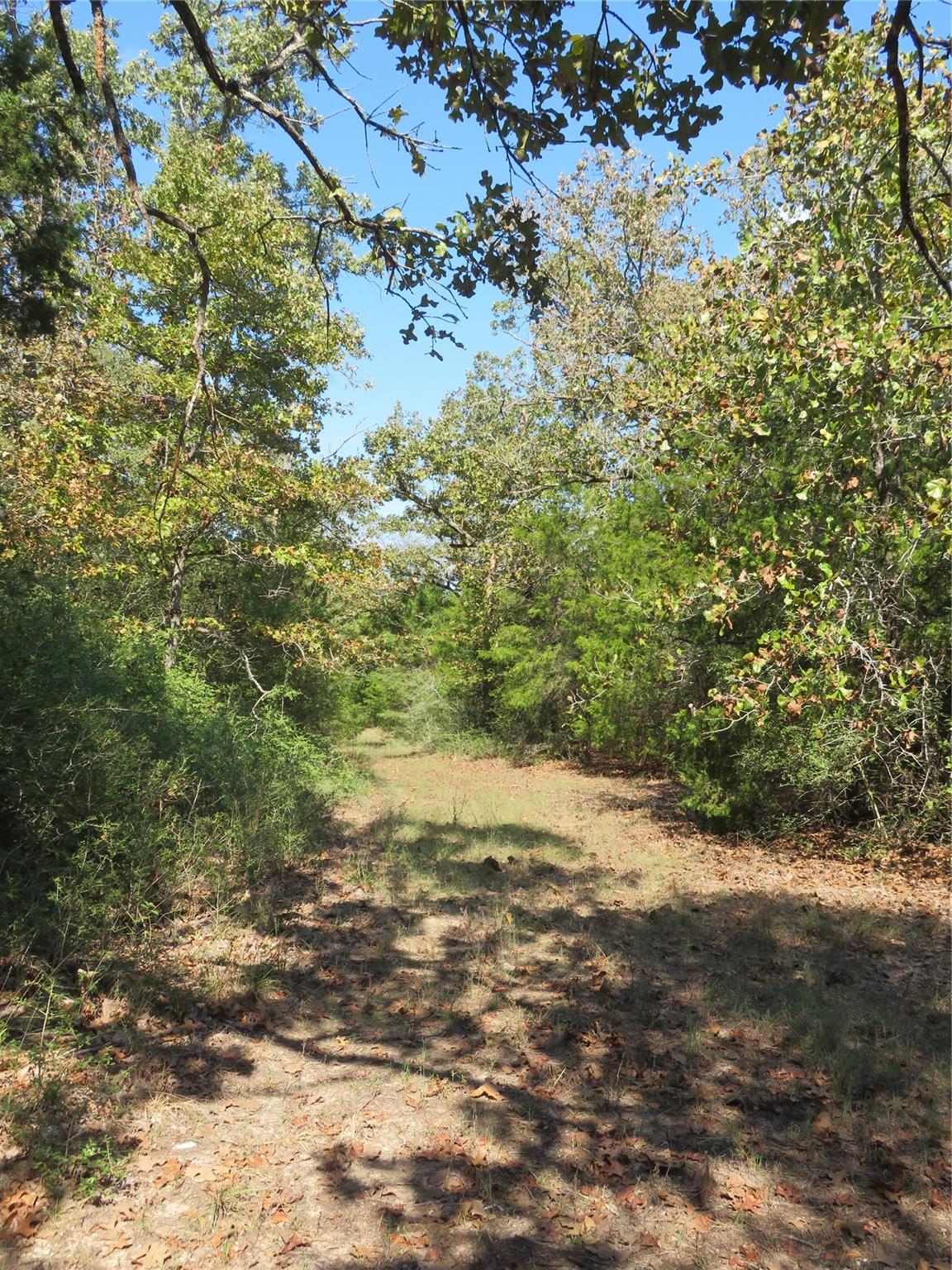 Tbd Fcr 257 Property Photo 14