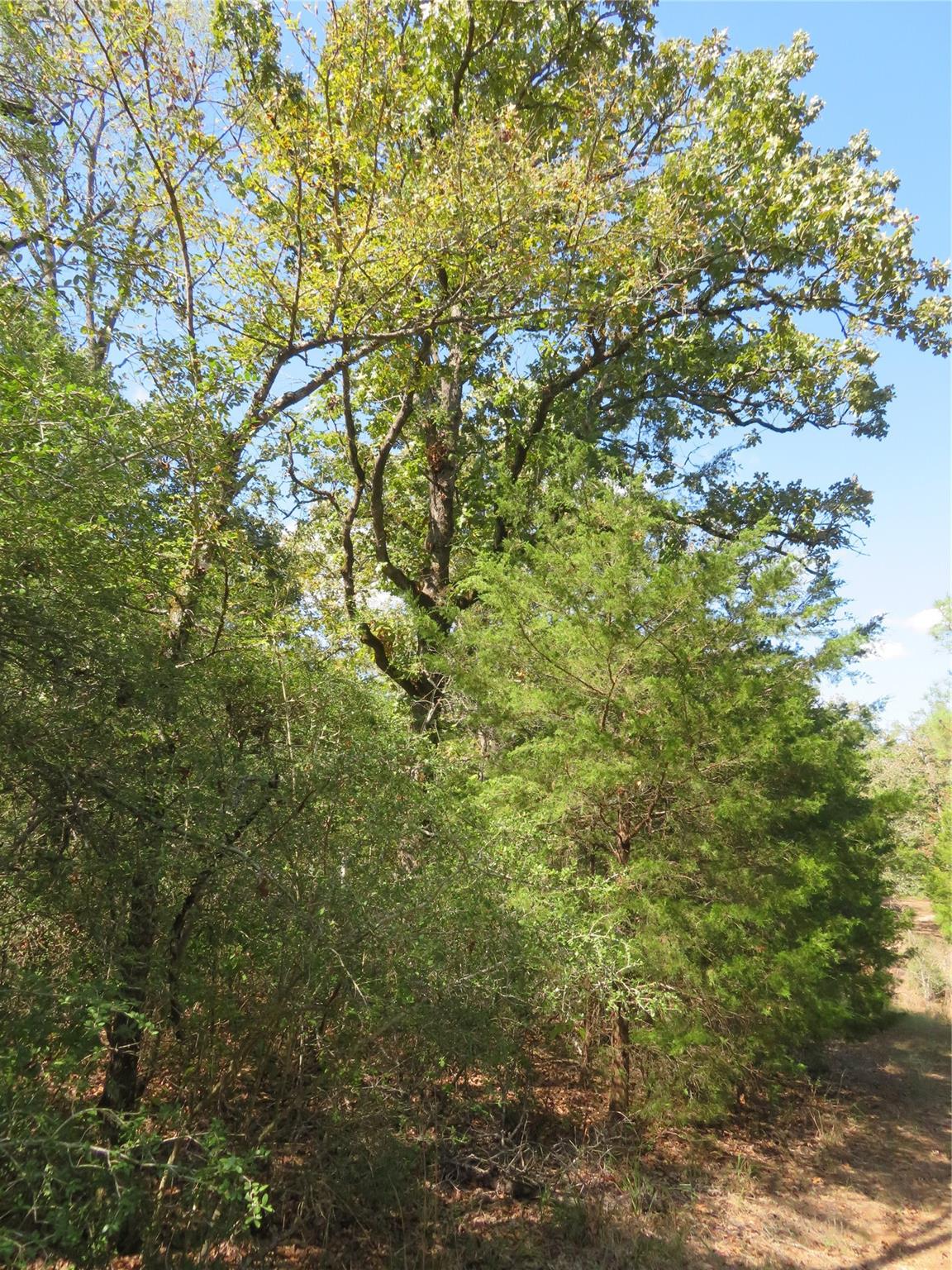 Tbd Fcr 257 Property Photo 15